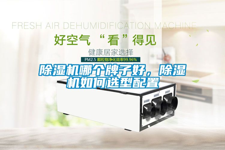 除濕機(jī)哪個(gè)牌子好，除濕機(jī)如何選型配置