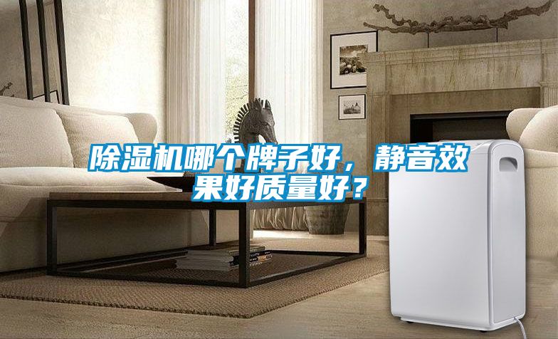 除濕機(jī)哪個(gè)牌子好，靜音效果好質(zhì)量好？