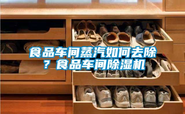 食品車間蒸汽如何去除？食品車間除濕機(jī)
