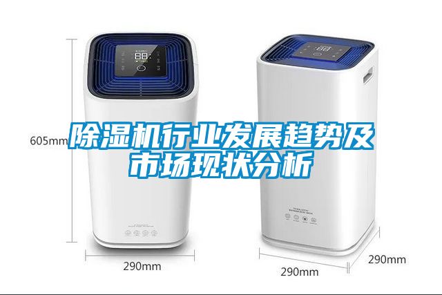 除濕機(jī)行業(yè)發(fā)展趨勢(shì)及市場現(xiàn)狀分析
