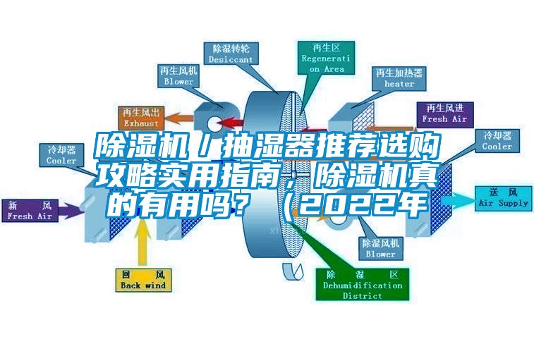 除濕機(jī)／抽濕器推薦選購(gòu)攻略實(shí)用指南，除濕機(jī)真的有用嗎？（2022年