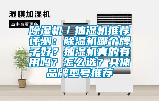 除濕機(jī)／抽濕機(jī)推薦評(píng)測(cè)：除濕機(jī)哪個(gè)牌子好？抽濕機(jī)真的有用嗎？怎么選？具體品牌型號(hào)推薦