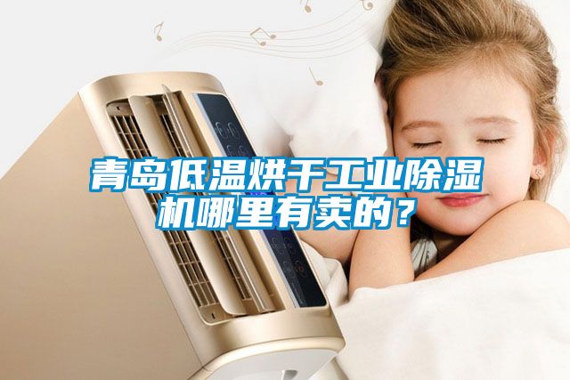 青島低溫烘干工業(yè)除濕機(jī)哪里有賣的？
