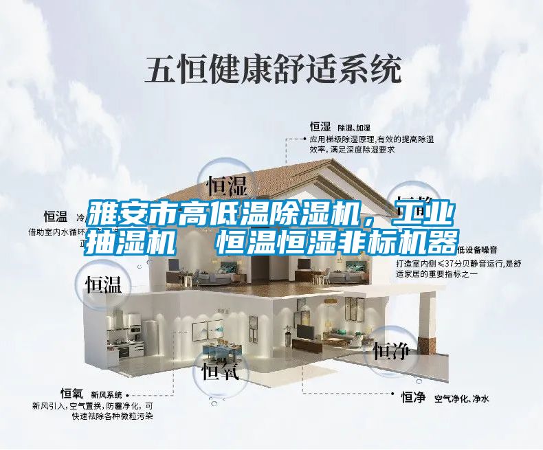 雅安市高低溫除濕機(jī)，工業(yè)抽濕機(jī)  恒溫恒濕非標(biāo)機(jī)器