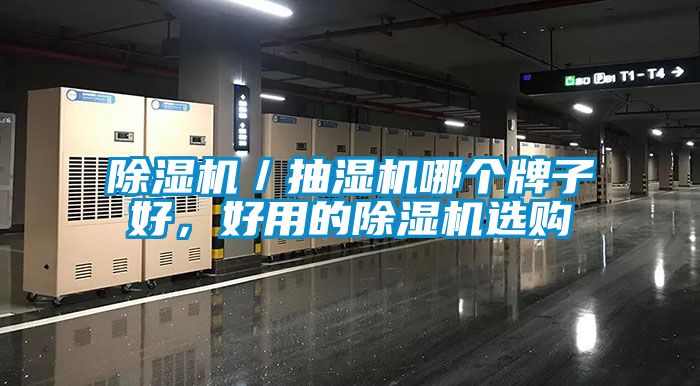 除濕機(jī)／抽濕機(jī)哪個(gè)牌子好，好用的除濕機(jī)選購(gòu)