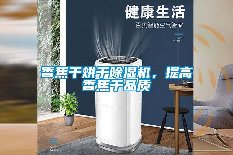 香蕉干烘干除濕機(jī)，提高香蕉干品質(zhì)