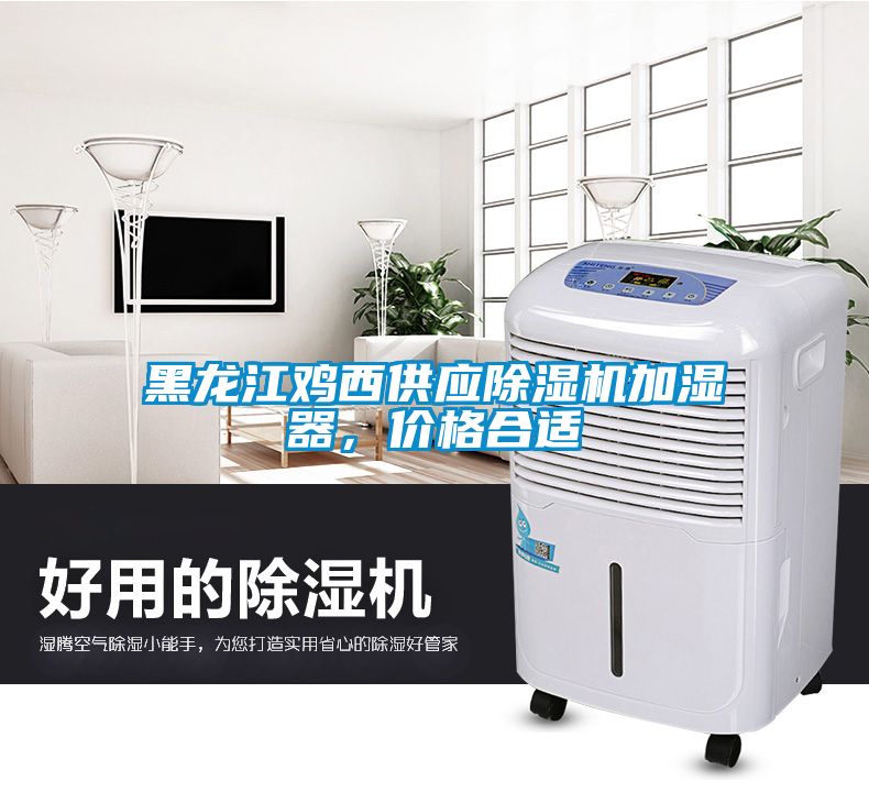 黑龍江雞西供應(yīng)除濕機(jī)加濕器，價(jià)格合適