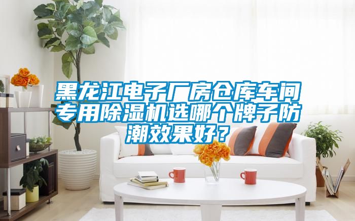 黑龍江電子廠房倉(cāng)庫(kù)車間專用除濕機(jī)選哪個(gè)牌子防潮效果好？