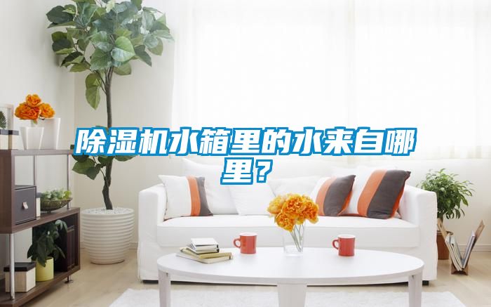 除濕機(jī)水箱里的水來(lái)自哪里？