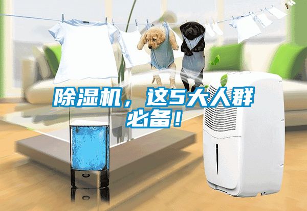 除濕機，這5大人群必備！