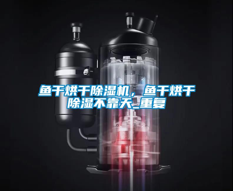 魚干烘干除濕機，魚干烘干除濕不靠天_重復(fù)