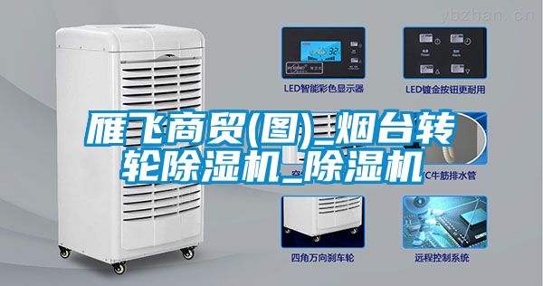 雁飛商貿(mào)(圖)_煙臺(tái)轉(zhuǎn)輪除濕機(jī)_除濕機(jī)