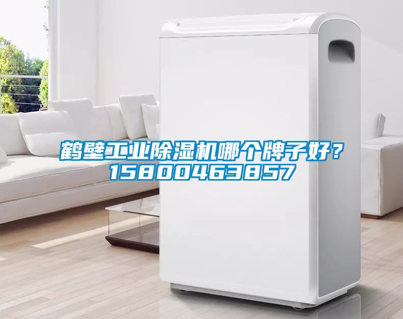 鶴壁工業(yè)除濕機(jī)哪個(gè)牌子好？15800463857