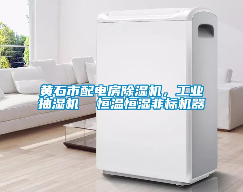 黃石市配電房除濕機，工業(yè)抽濕機  恒溫恒濕非標(biāo)機器