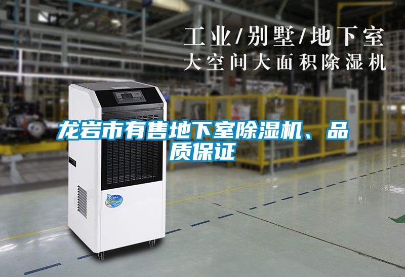 龍巖市有售地下室除濕機(jī)、品質(zhì)保證