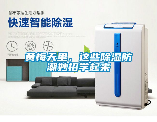 黃梅天里，這些除濕防潮妙招學(xué)起來